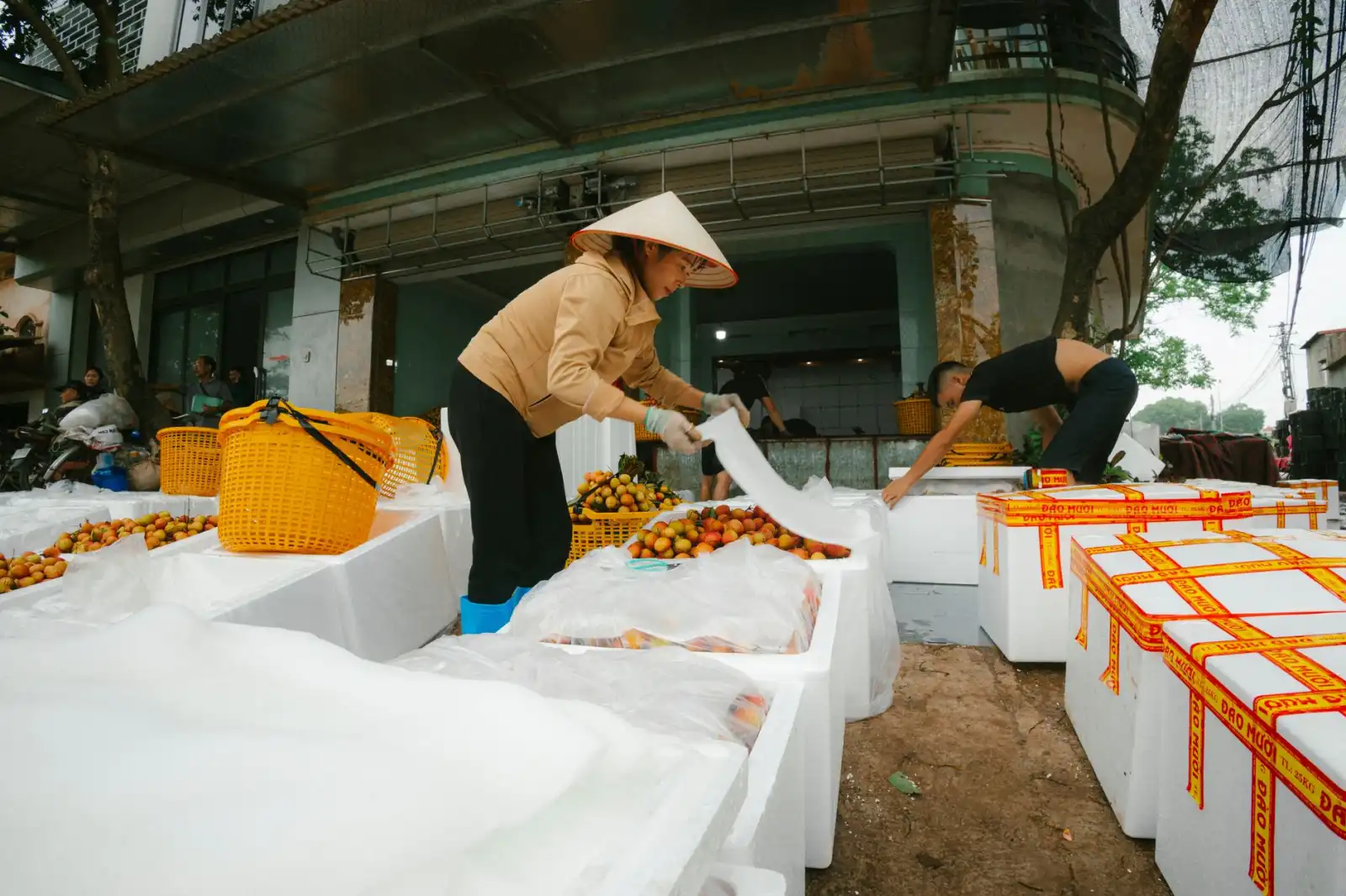 重庆企业节日水果礼盒装选购指南:从产地直采到新鲜配送全解析