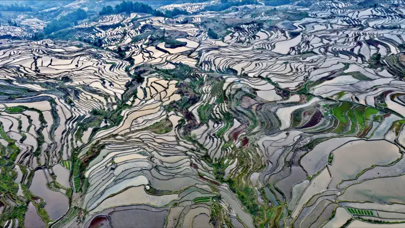 水果盒生鲜供应的冷链物流关键节点及质量控制技术解析