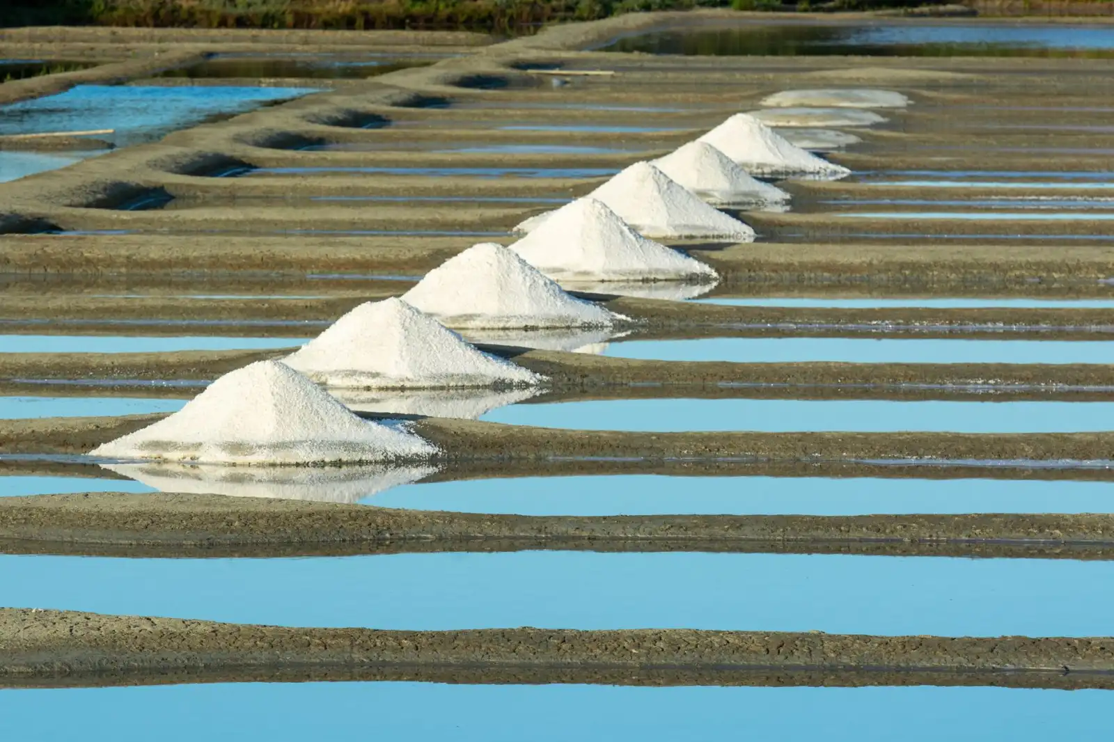 新鲜水果产地直采模式在重庆企业生鲜供应中的技术优势解析